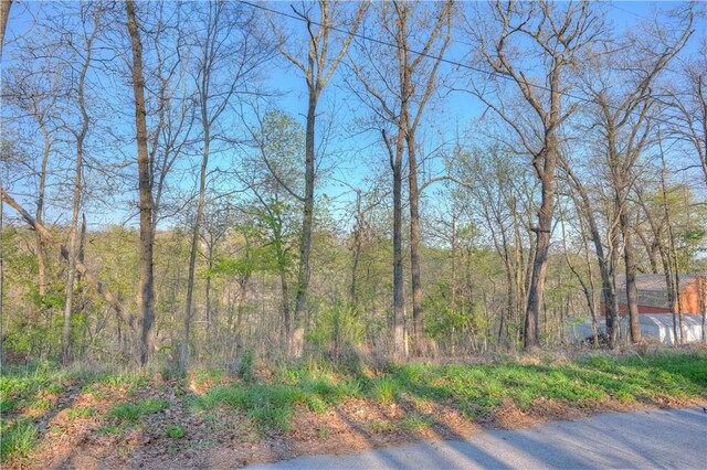157XX Cottonwood Ln, Rogers, AR 72756 - photo 5