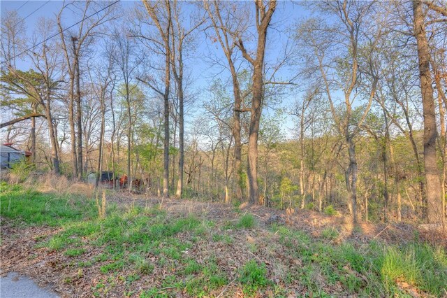 157XX Cottonwood Ln, Rogers, AR 72756 - photo 6