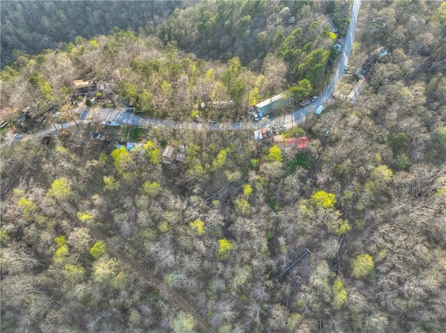 157XX Cottonwood Ln, Rogers, AR 72756 - photo 8