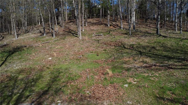 Bracebridge Rd, Rogers, AR 72756 - photo 6