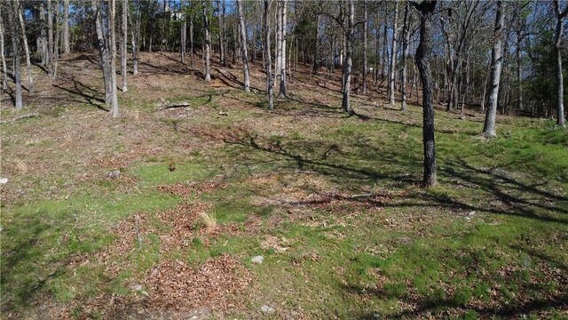 Bracebridge Rd, Rogers, AR 72756 - photo 7