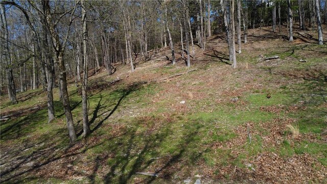 Bracebridge Rd, Rogers, AR 72756 - photo 8