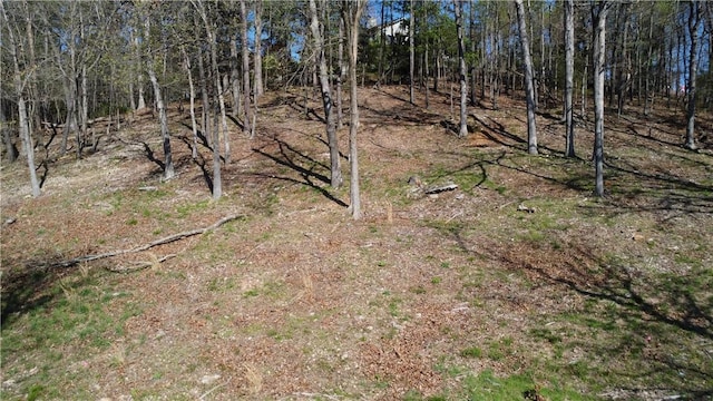 Bracebridge Rd, Rogers, AR 72756 - photo 9