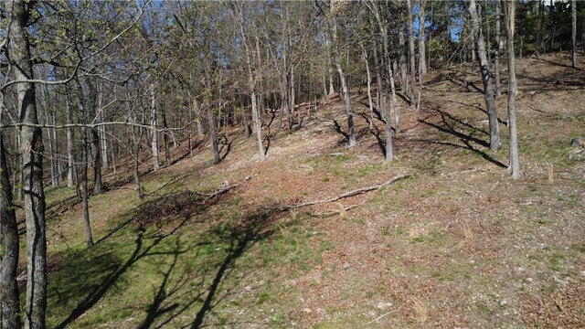 Bracebridge Rd, Rogers, AR 72756 - photo 10