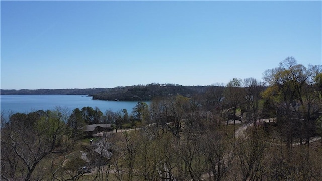Bracebridge Rd, Rogers, AR 72756 - photo 3