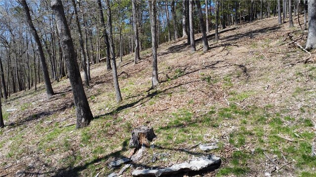 Bracebridge Rd, Rogers, AR 72756 - photo 11