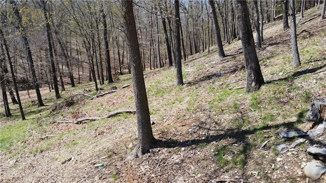 Bracebridge Rd, Rogers, AR 72756 - photo 12