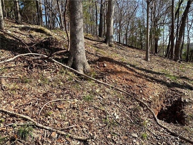 Bracebridge Rd, Rogers, AR 72756 - photo 34