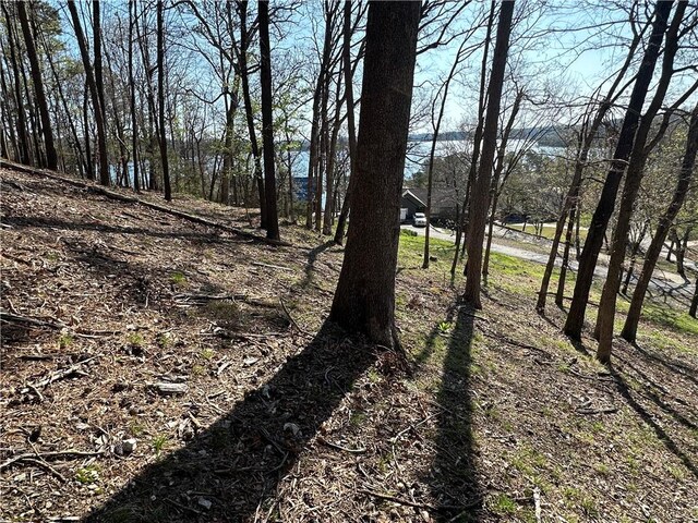 Bracebridge Rd, Rogers, AR 72756 - photo 20