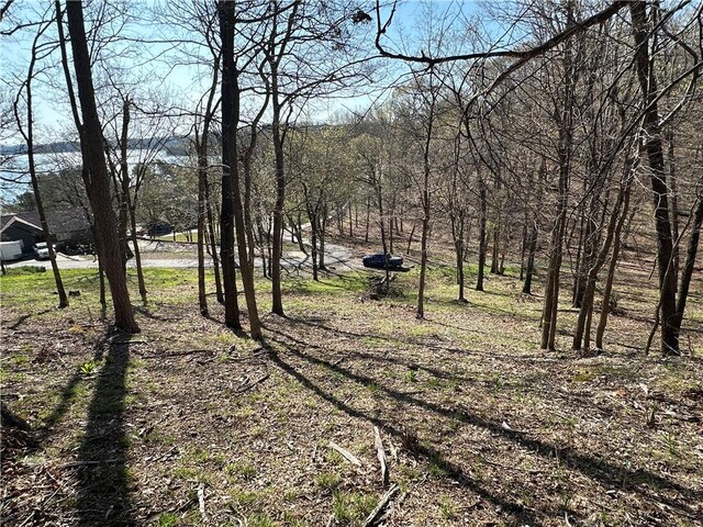 Bracebridge Rd, Rogers, AR 72756 - photo 21