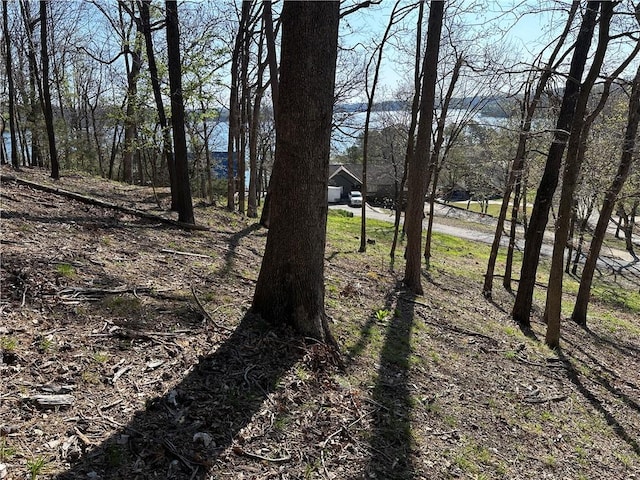 Bracebridge Rd, Rogers, AR 72756 - photo 22