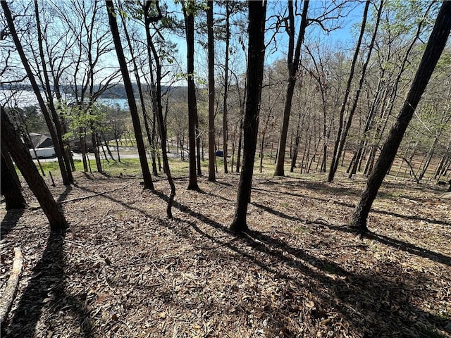 Bracebridge Rd, Rogers, AR 72756 - photo 26