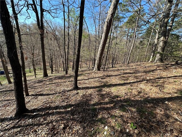 Bracebridge Rd, Rogers, AR 72756 - photo 27