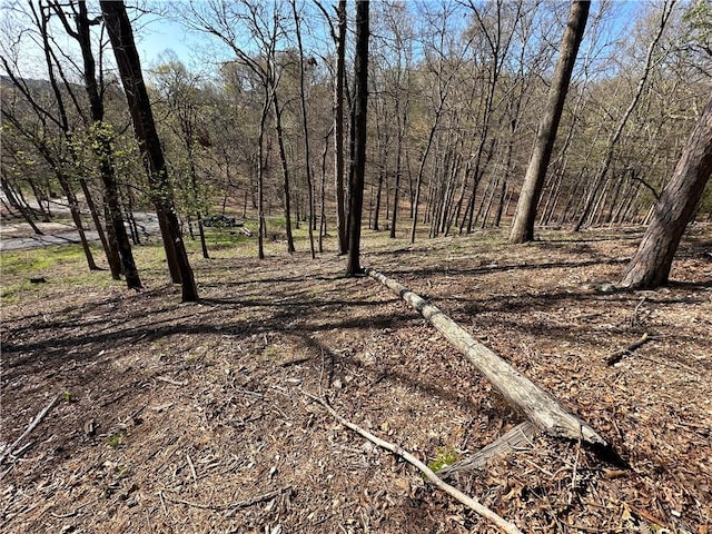 Bracebridge Rd, Rogers, AR 72756 - photo 28