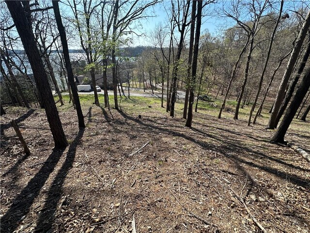 Bracebridge Rd, Rogers, AR 72756 - photo 29