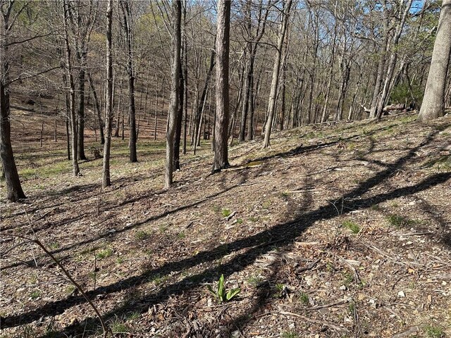 Bracebridge Rd, Rogers, AR 72756 - photo 31