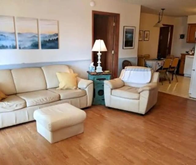 living room with wood finished floors