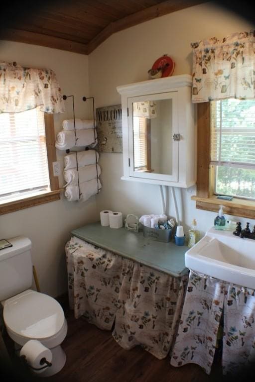 bathroom featuring wooden ceiling, wood finished floors, a sink, and a healthy amount of sunlight