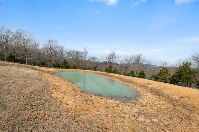 302 Madison Unit 2500, Huntsville, AR 72740 - photo 36