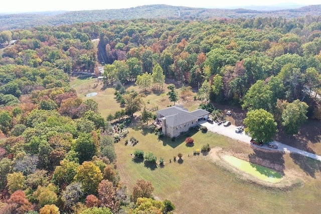 302 Madison Unit 2500, Huntsville, AR 72740 - photo 39