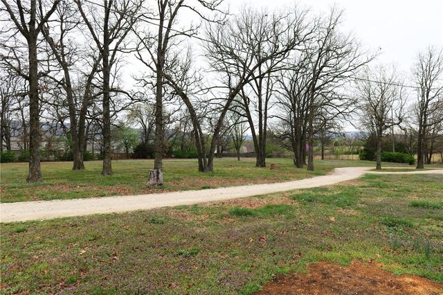 11660 Cactus Jack Rd, Farmington, AR 72730 - photo 3