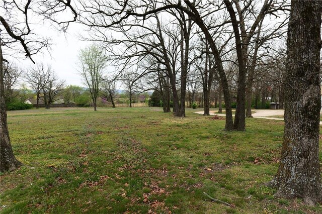 11660 Cactus Jack Rd, Farmington, AR 72730 - photo 4