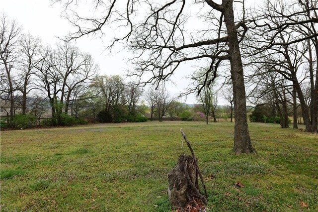 11660 Cactus Jack Rd, Farmington, AR 72730 - photo 5