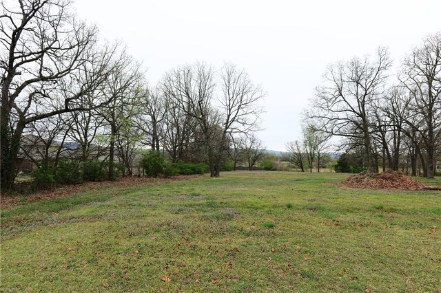 11660 Cactus Jack Rd, Farmington, AR 72730 - photo 6
