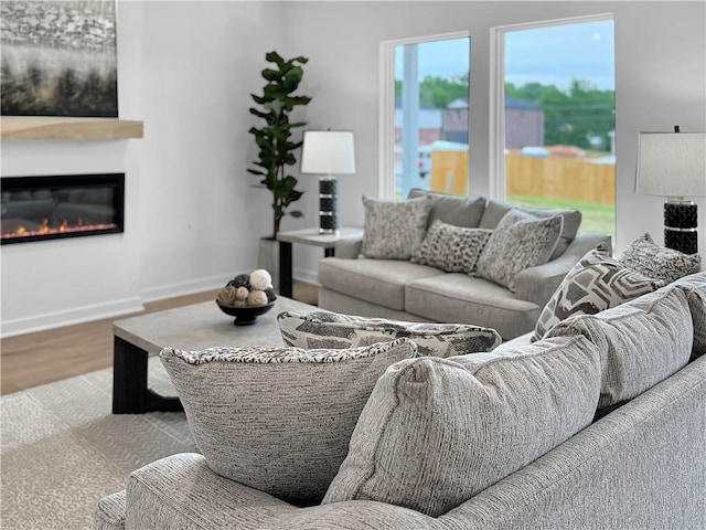 1963 Larkspur St, Springdale, AR 72762 - living room featuring a glass covered fireplace and wood finished floors