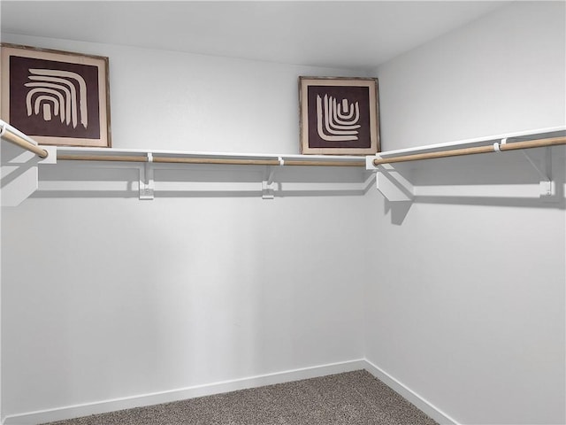 1963 Larkspur St, Springdale, AR 72762 - spacious closet with carpet flooring