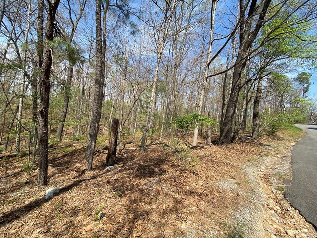 LOT5 Fowey Ln, Bella Vista, AR 72714
