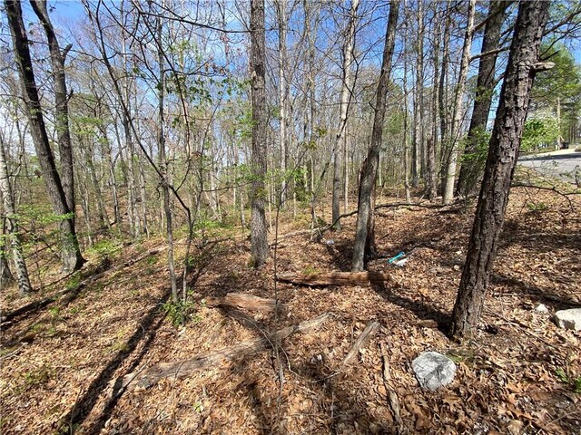 LOT5 Fowey Ln, Bella Vista, AR 72714