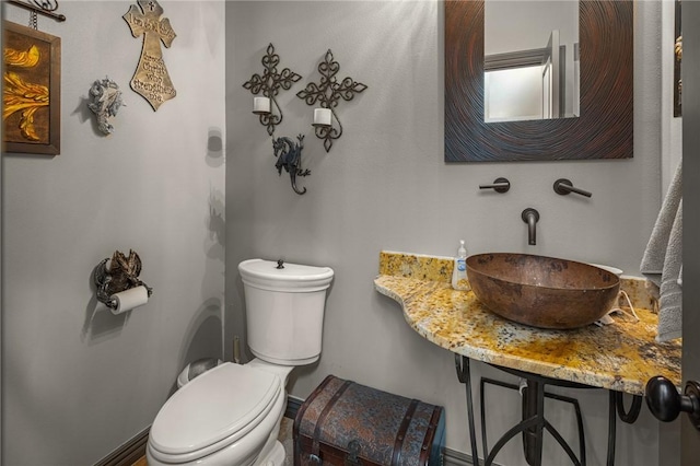 21413 Lakeview Dr, Garfield, AR 72732 - bathroom featuring a sink and toilet