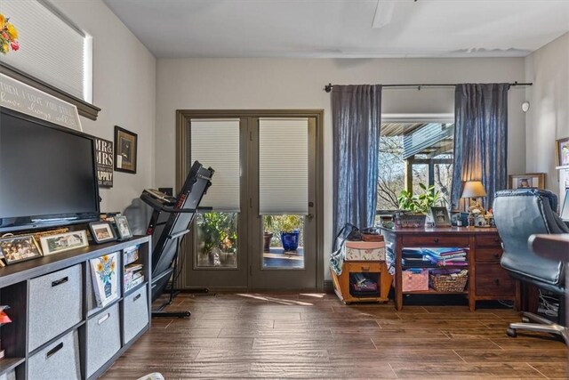 21413 Lakeview Dr, Garfield, AR 72732 - home office featuring a wealth of natural light and wood finished floors