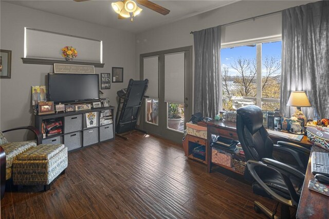 21413 Lakeview Dr, Garfield, AR 72732 - office with wood finished floors and ceiling fan