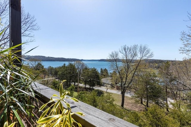 21413 Lakeview Dr, Garfield, AR 72732 - view of water feature