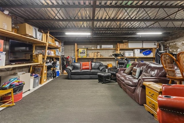 21413 Lakeview Dr, Garfield, AR 72732 - storage with a wall mounted air conditioner