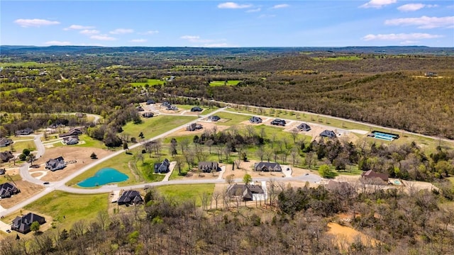 drone / aerial view