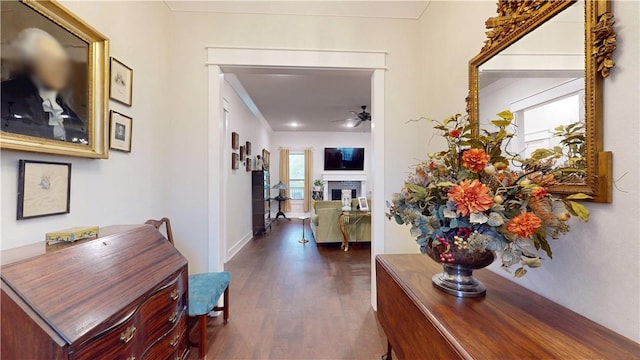 corridor with baseboards and dark wood-style floors