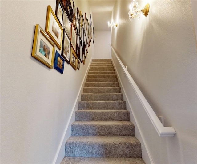 staircase featuring carpet floors