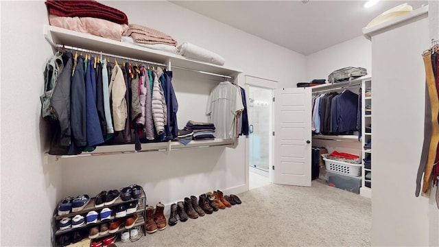 walk in closet featuring carpet flooring