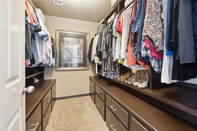 705 SW Maidstone Ave, Bentonville, AR 72712 - view of walk in closet