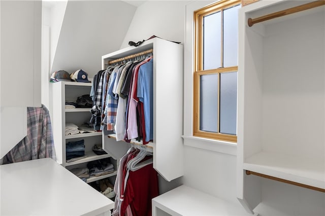 view of spacious closet
