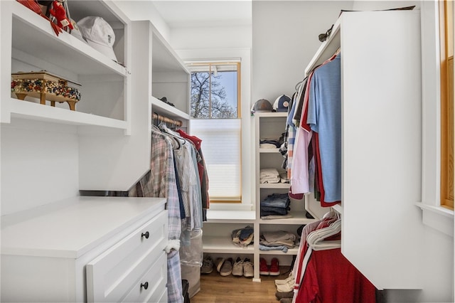 walk in closet featuring wood finished floors
