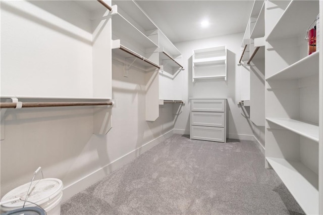 walk in closet with carpet
