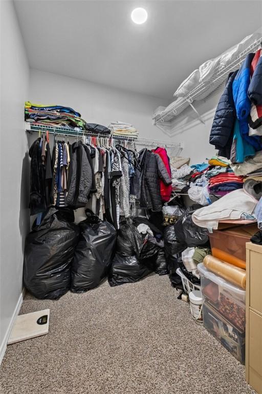 walk in closet featuring carpet flooring