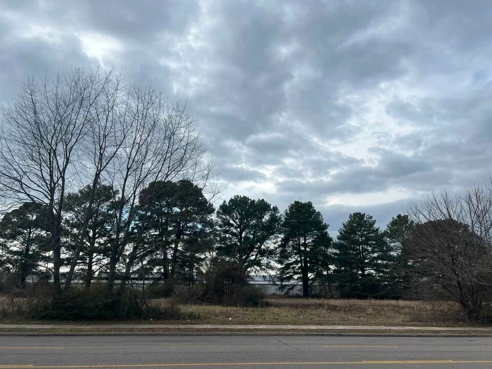 4 N Sidney Ave, Russellville, AR 72802 - photo 3