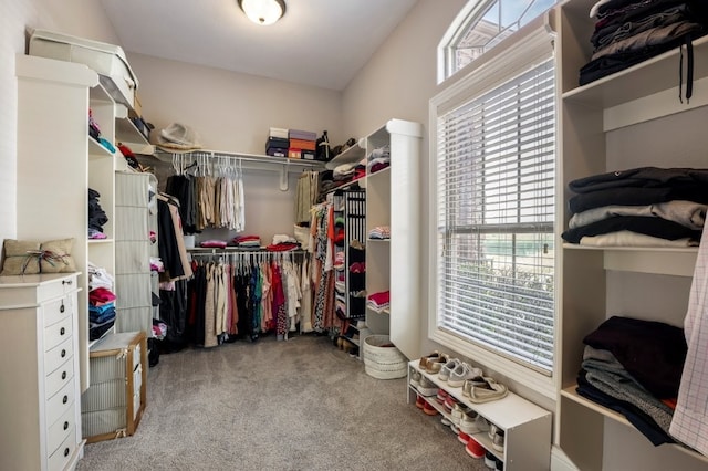 spacious closet with carpet