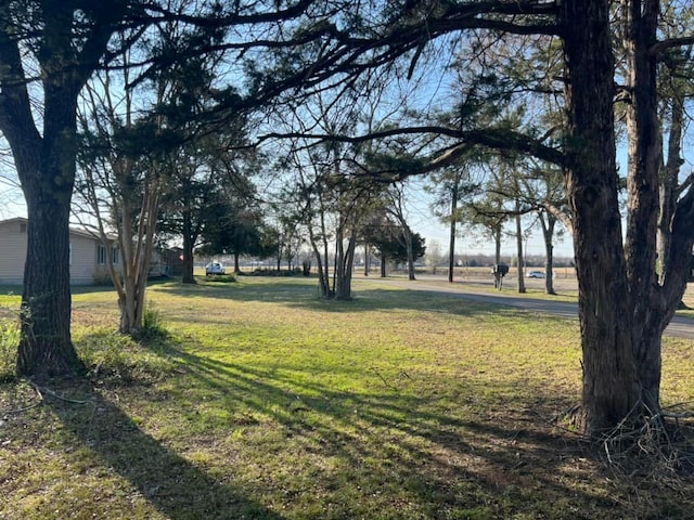 2304 E J St, Russellville, AR 72802 - view of yard