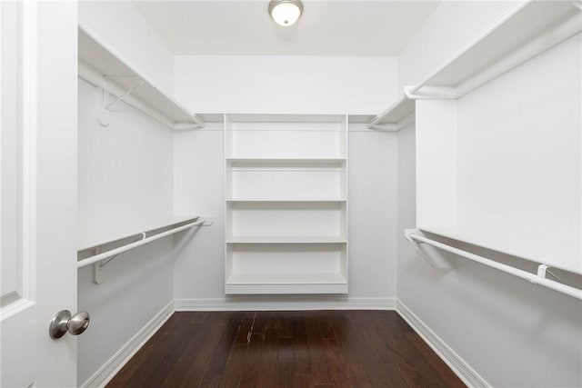 walk in closet with hardwood / wood-style flooring